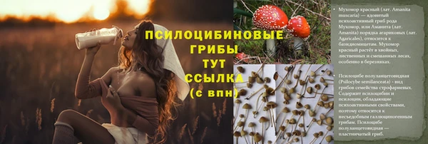герыч Бугульма