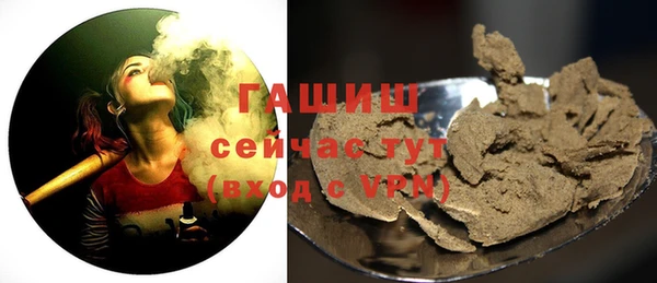 дмт Бородино