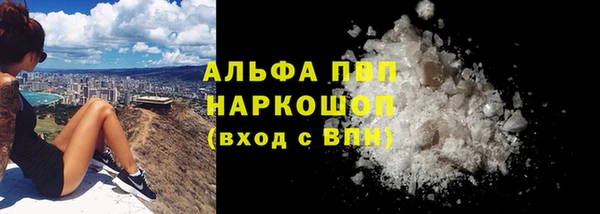 дмт Бородино