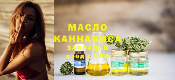 дмт Бородино
