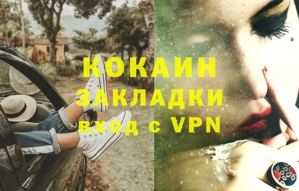 дмт Бородино