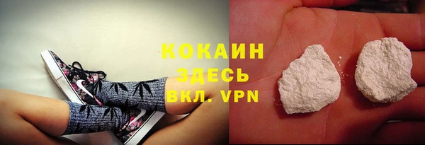 дмт Бородино