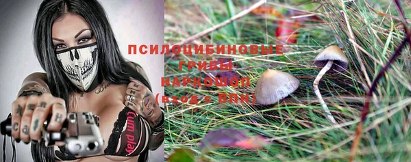 PSILOCYBIN Бронницы