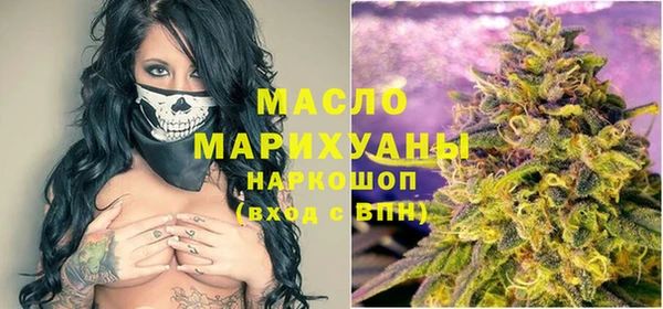 дмт Бородино