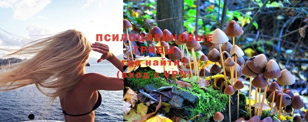 PSILOCYBIN Бронницы