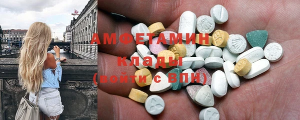 дмт Бородино