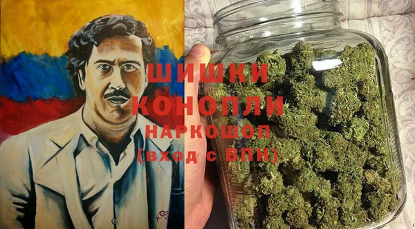 PSILOCYBIN Бронницы