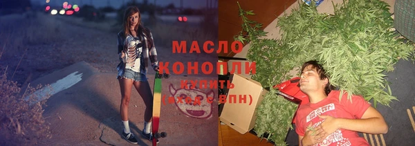 дмт Бородино