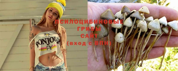 дмт Бородино