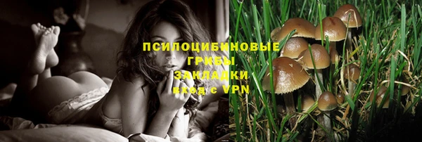 PSILOCYBIN Бронницы