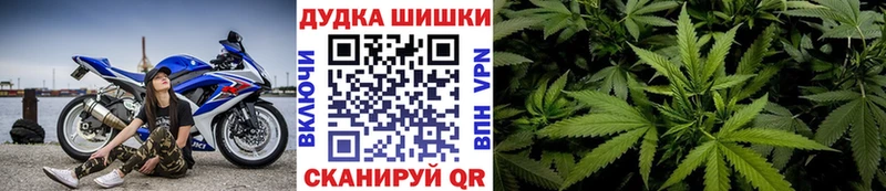 Канабис планчик  дарнет шоп  Находка 